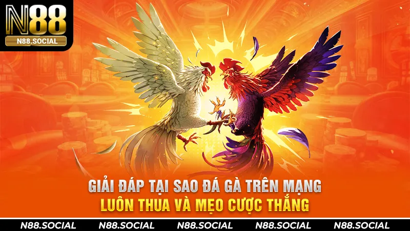tại sao đá gà trên mạng luôn thua