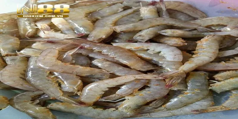 Trong mơ thấy xuất hiện hình ảnh tôm, tép nhỏ là điềm báo mang đến sự may mắn cho bạn