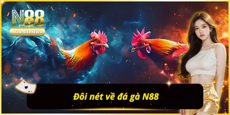 Những thông tin tổng quan thú vị nhất về ĐÁ GÀ N88