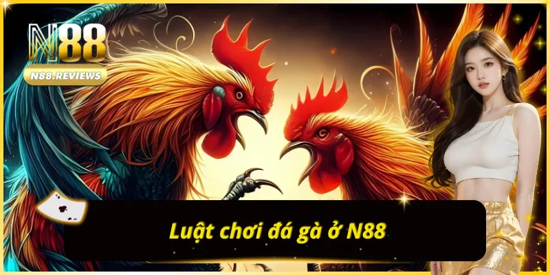 Những thông tin thú vị về luật chơi ĐÁ GÀ N88