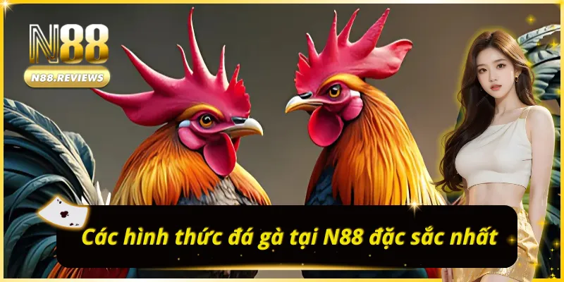 Các hình thức ĐÁ GÀ N88 đặc sắc nhất