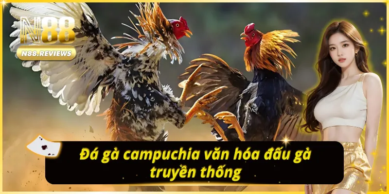 ĐÁ GÀ N88 campuchia văn hóa đấu gà truyền thống
